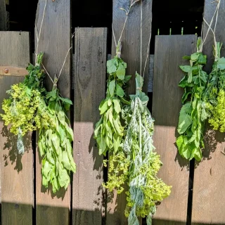 Garten3