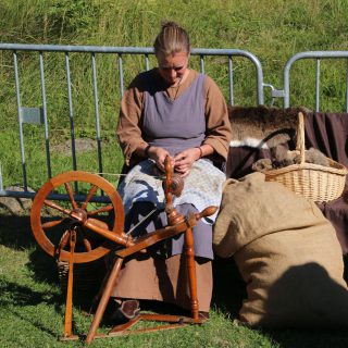 Spinnen1