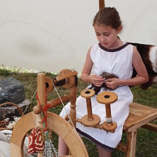 Spinnen3